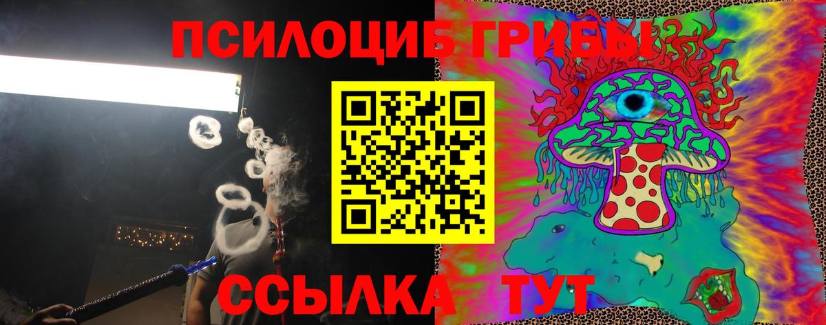 Псилоцибиновые грибы Psilocybine cubensis  купить наркотик  Мурманск  Галлюциногенные грибы Psilocybe  Вход с VPN 